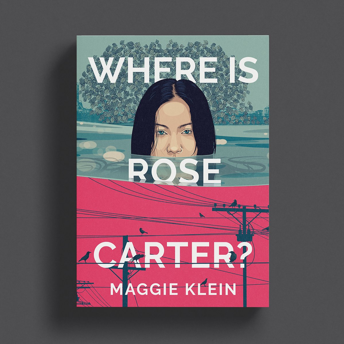 SoftCover3.jpg