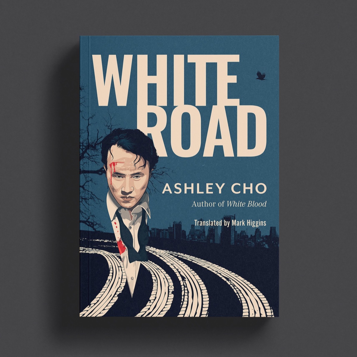 SoftCover3 copy.jpg