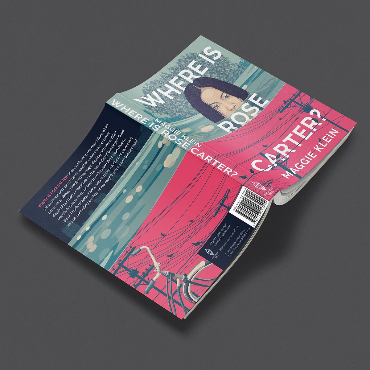 SoftCover5.jpg