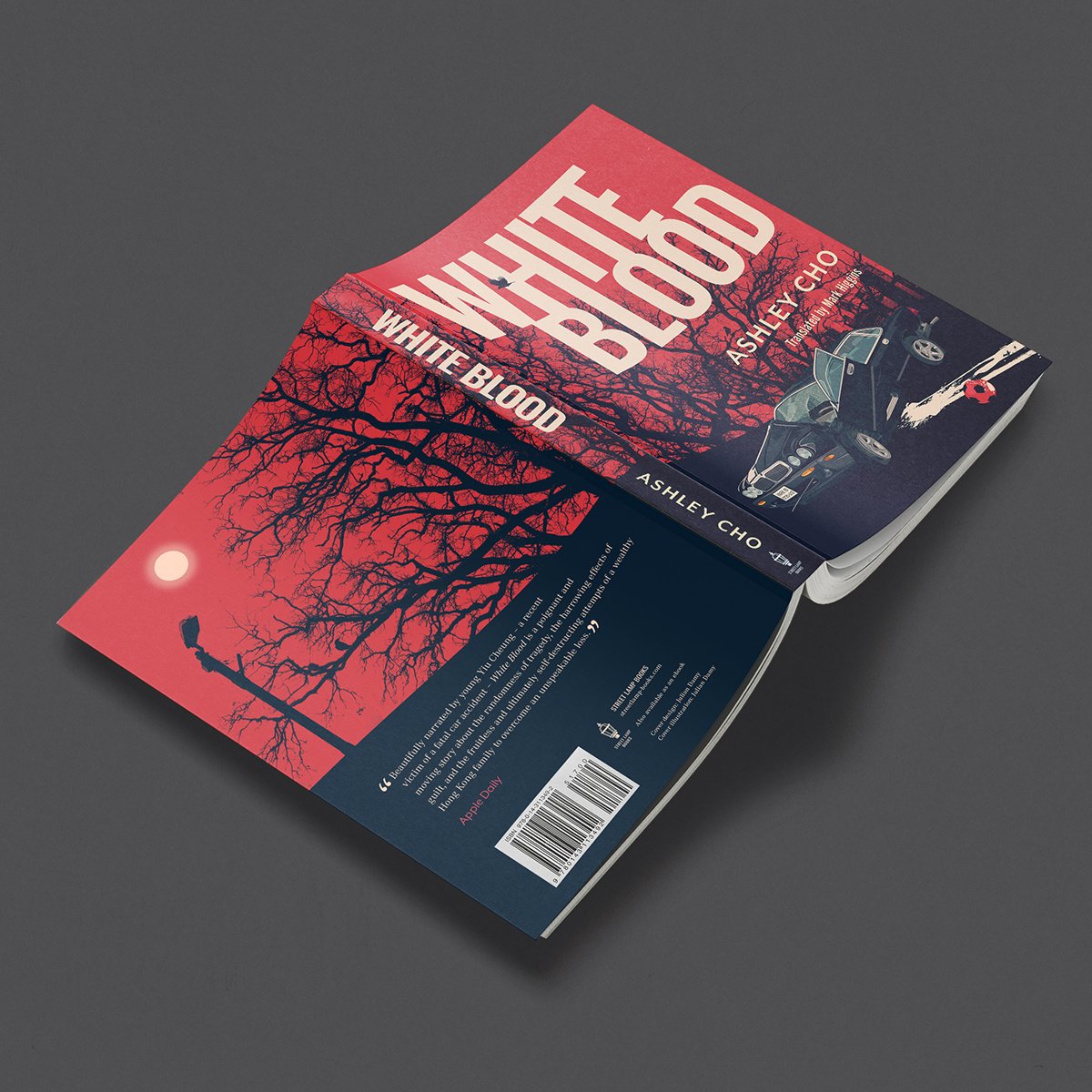 SoftCover5.jpg