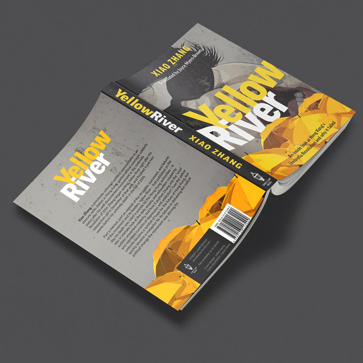 SoftCover5.jpg