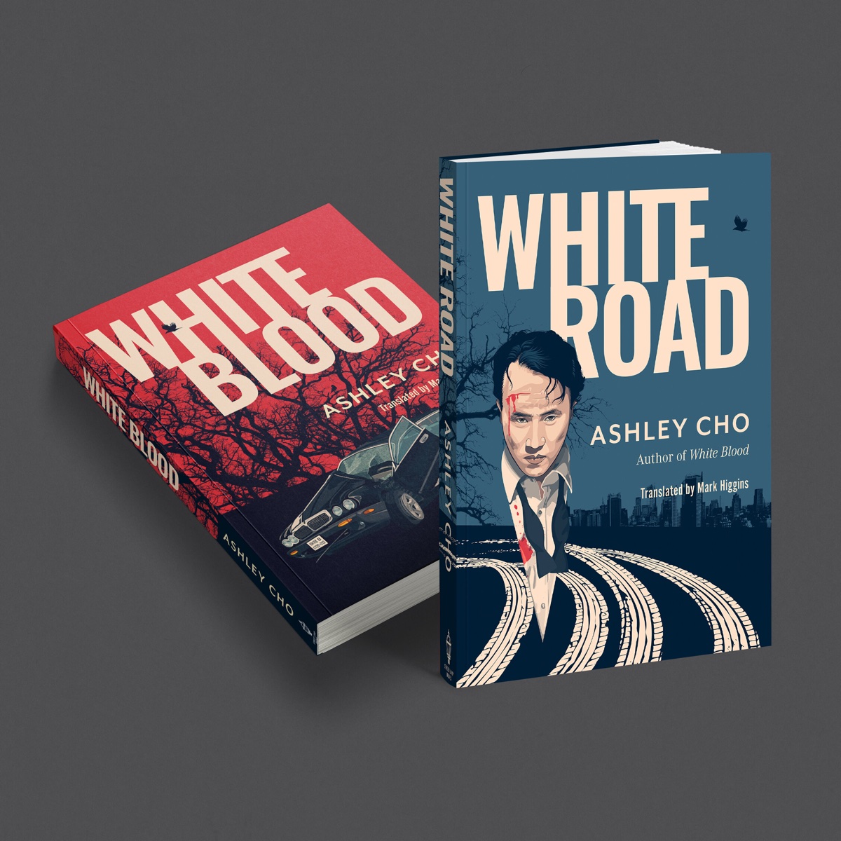 SoftCover7 copy.jpg